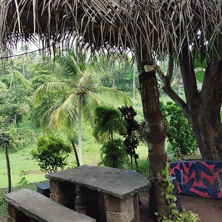 Joseph Dale Homestay Varkala Kültér fotó
