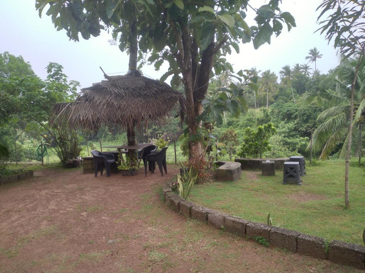 Joseph Dale Homestay Varkala Kültér fotó