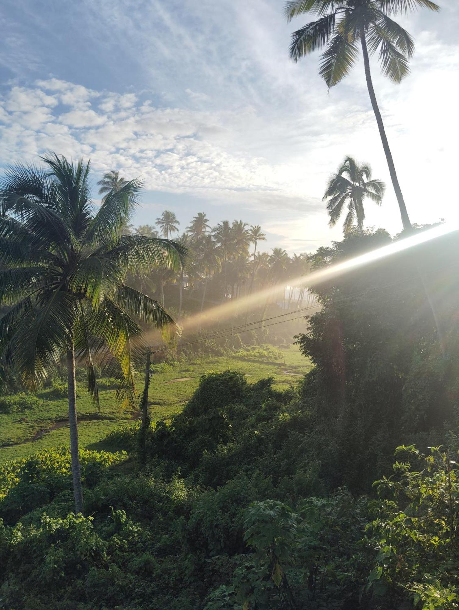 Joseph Dale Homestay Varkala Kültér fotó